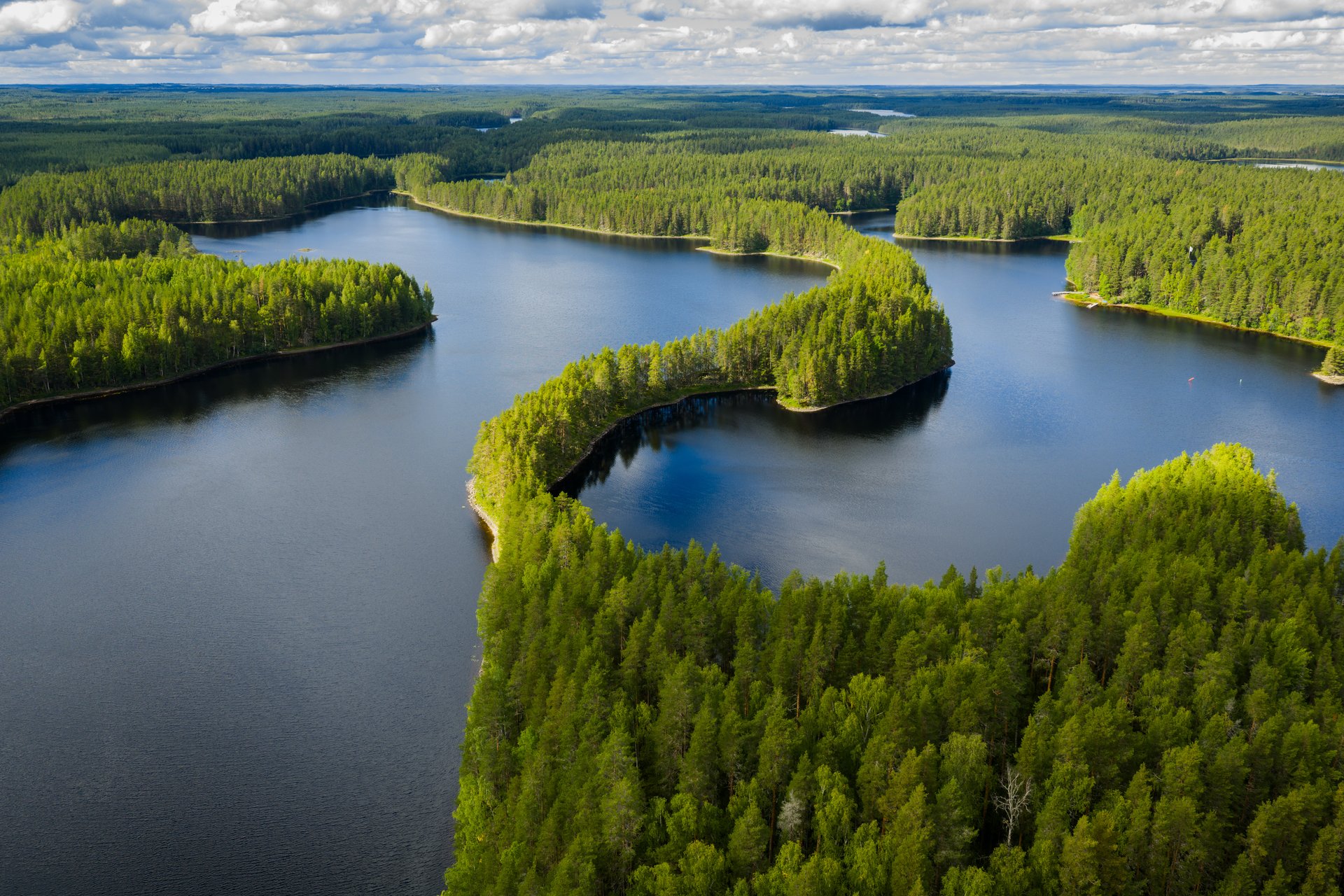 2025_Pro Lakeland_North Karelia_summer_Petkeljärvi_hires--5