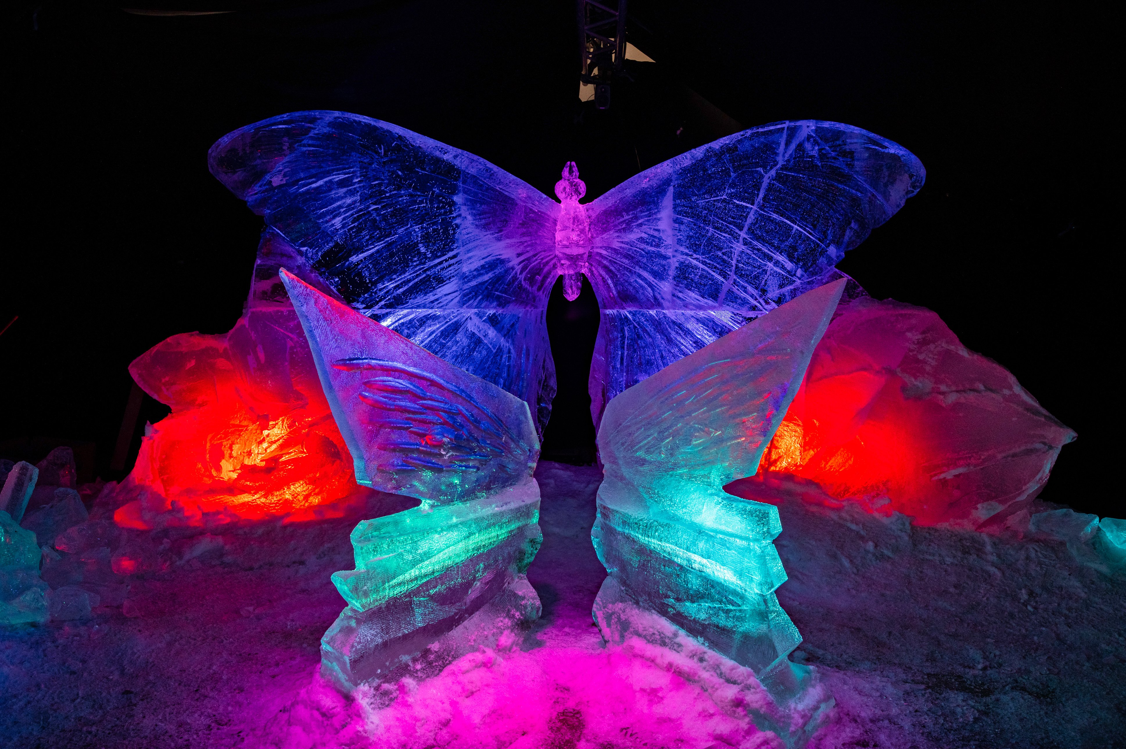 Botania jääveistoksia 2023-20 (1)