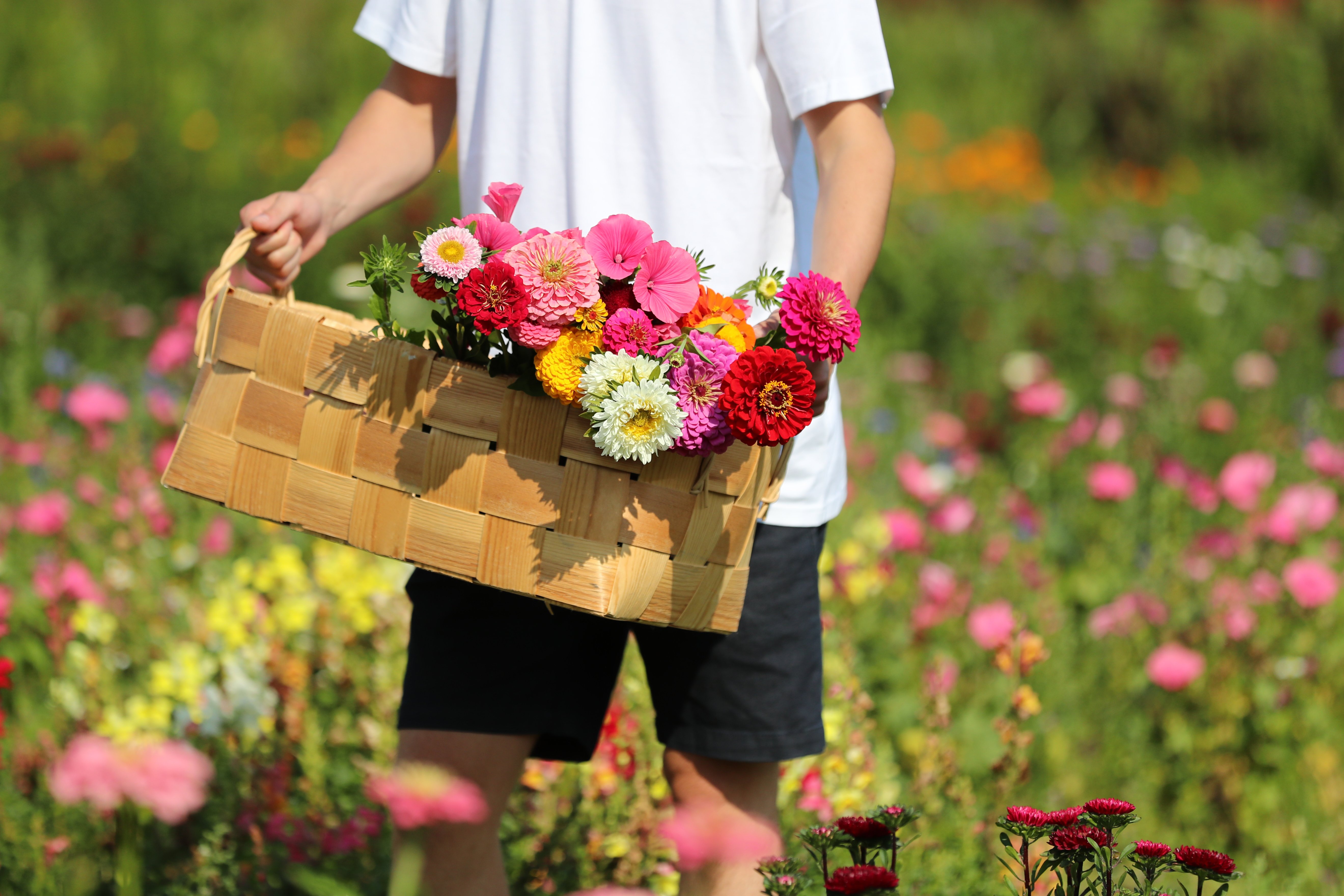 VK-Harri-Tarvainen-flowers.jpg (1)